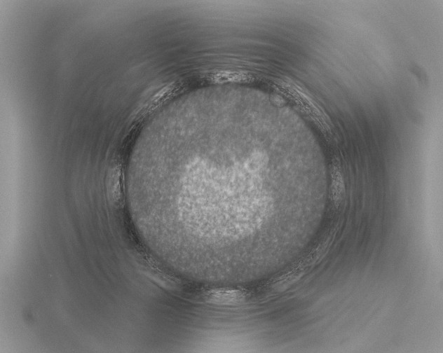 X0000115290169200912141103