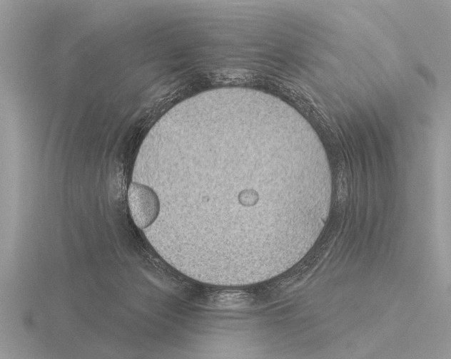 X0000115290173200912141103