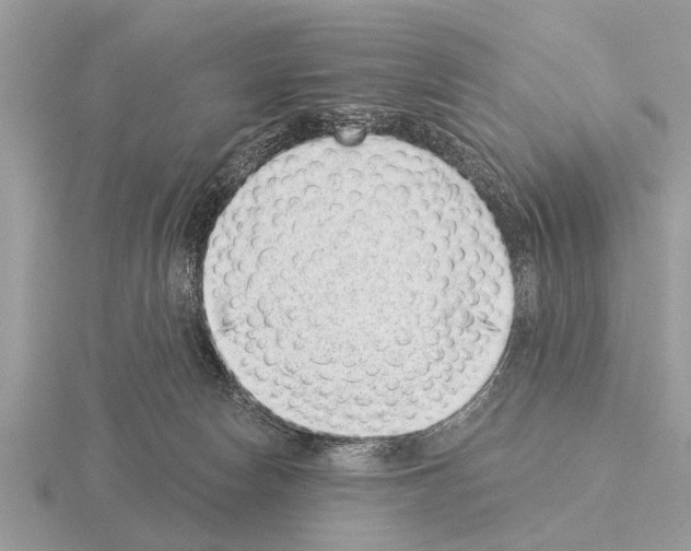 X0000115290178200912141103