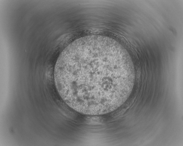 X0000115290181200912141103