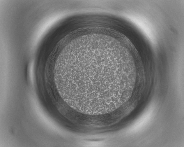 X0000115290189200912141103