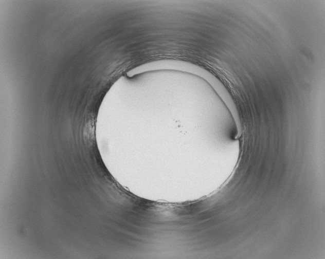 X0000115290190200912141103