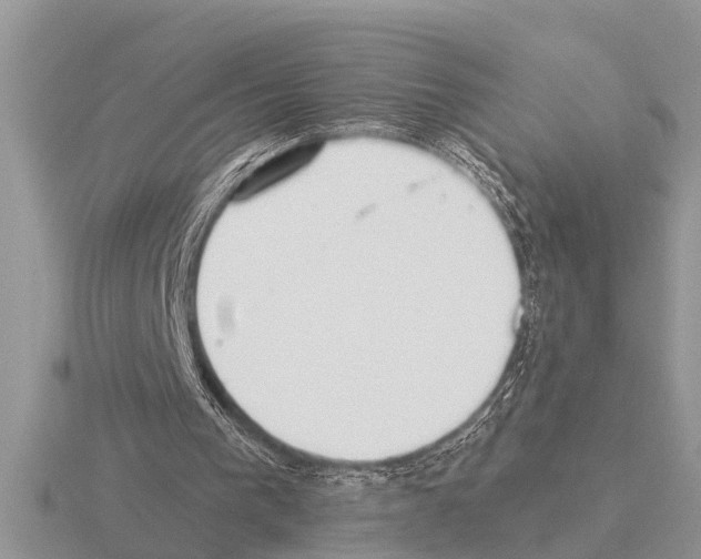 X0000115290193200912141102