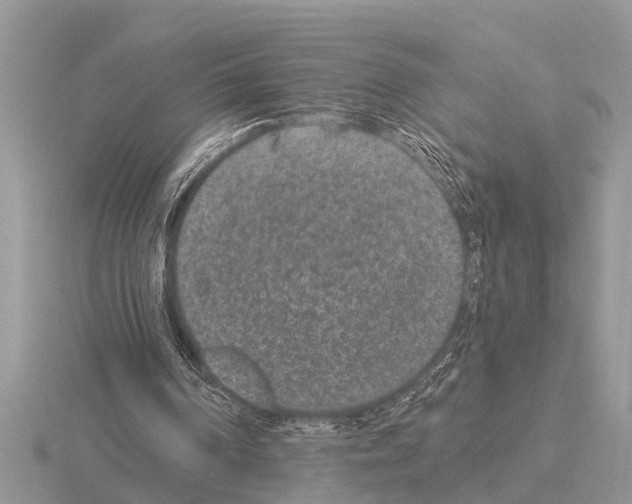 X0000115290194200912141102