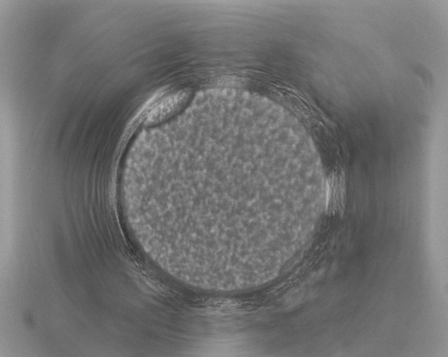 X0000115290195200912141102