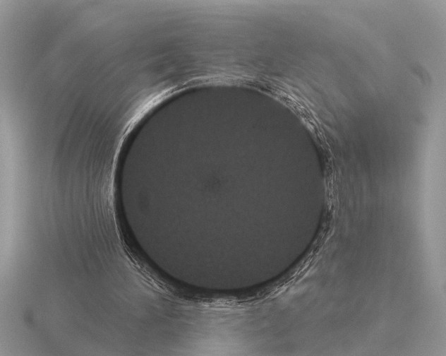 X0000115290196200912141102