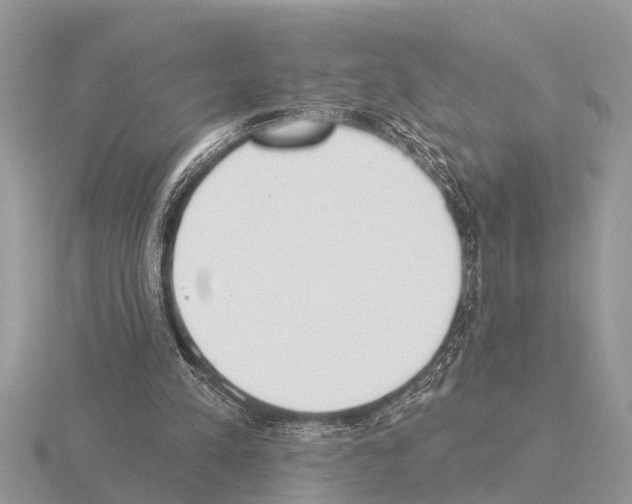 X0000115290197200912141102