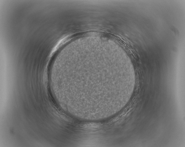 X0000115290198200912141102