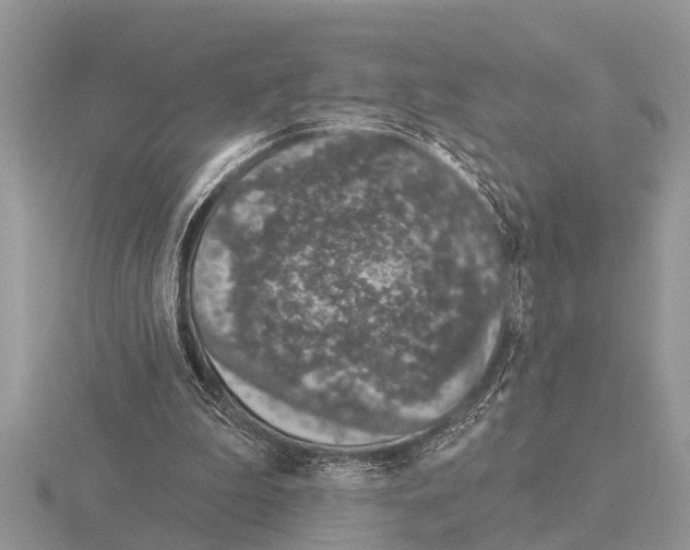 X0000115290199200912141102