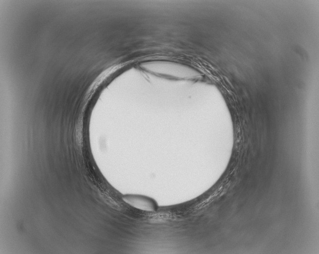 X0000115290200200912141102