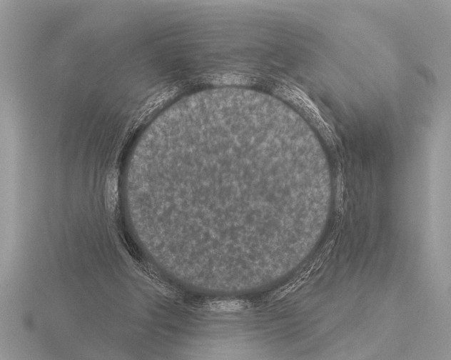 X0000115290202200912141102