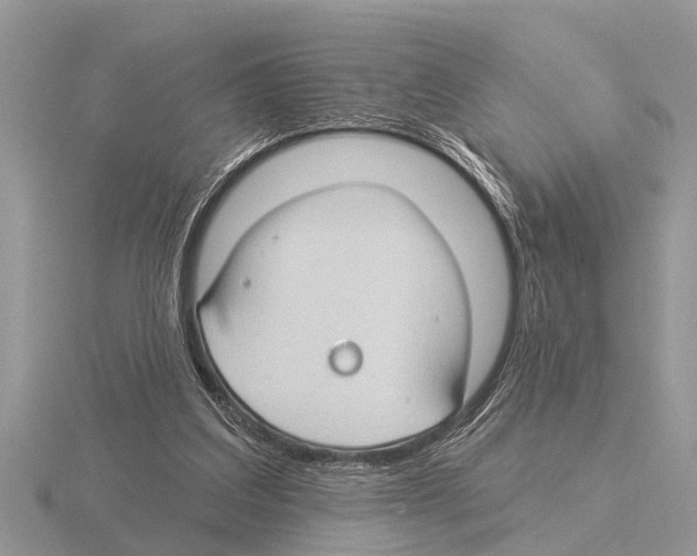 X0000115290203200912141102