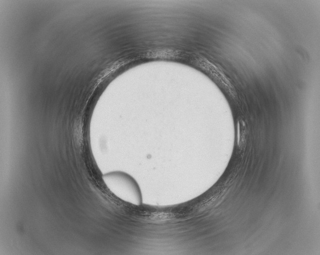 X0000115290204200912141102