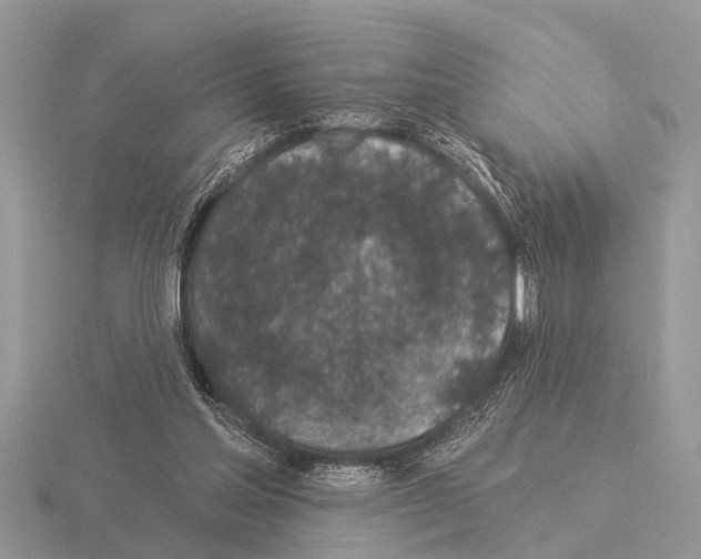 X0000115290205200912141102