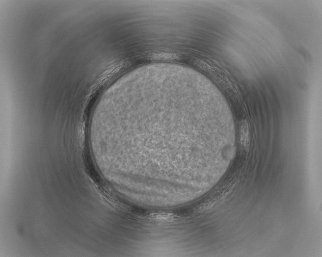 X0000115290206200912141102