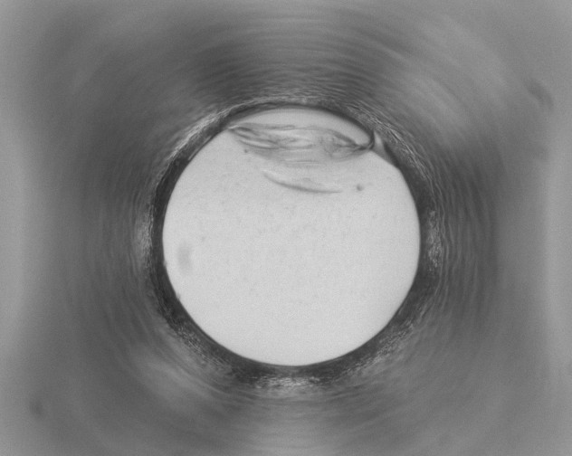 X0000115290208200912141102