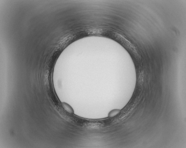 X0000115290209200912141102