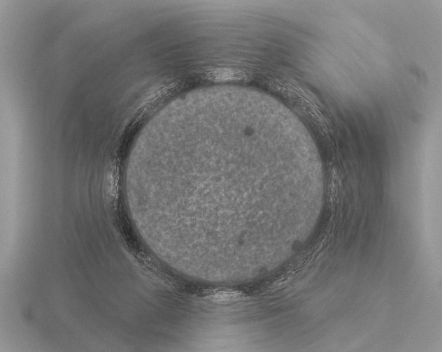 X0000115290210200912141102