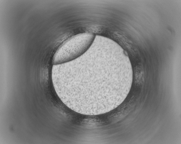 X0000115290211200912141102