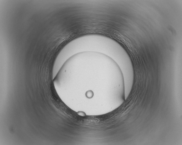 X0000115290215200912141102