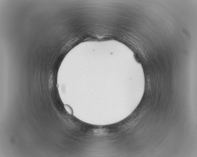 X0000115290216200912141102