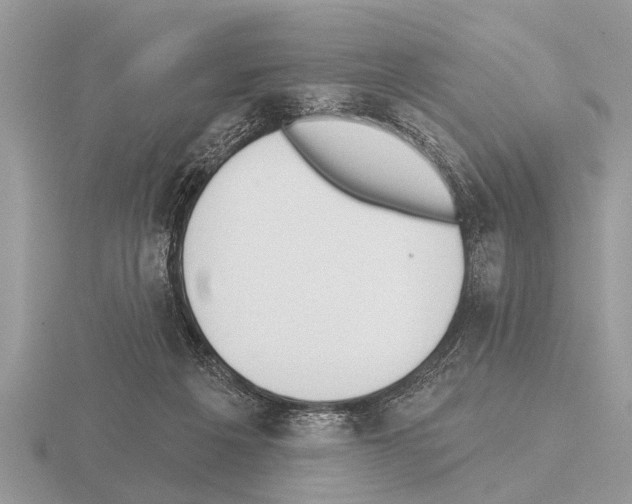 X0000115290217200912141102