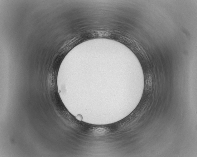 X0000115290218200912141102