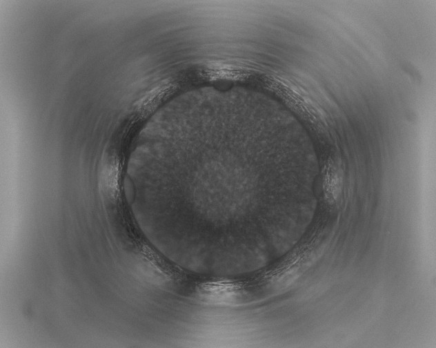 X0000115290219200912141102