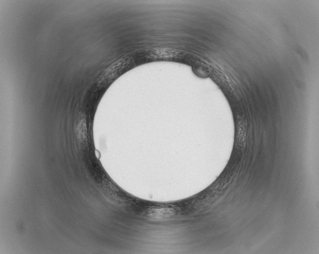 X0000115290220200912141102