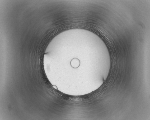 X0000115290221200912141102