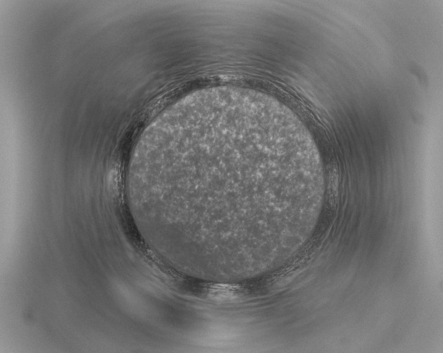 X0000115290222200912141102