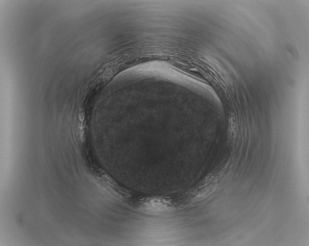 X0000115290223200912141102