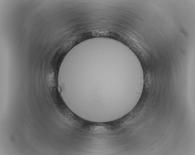 X0000115290224200912141102