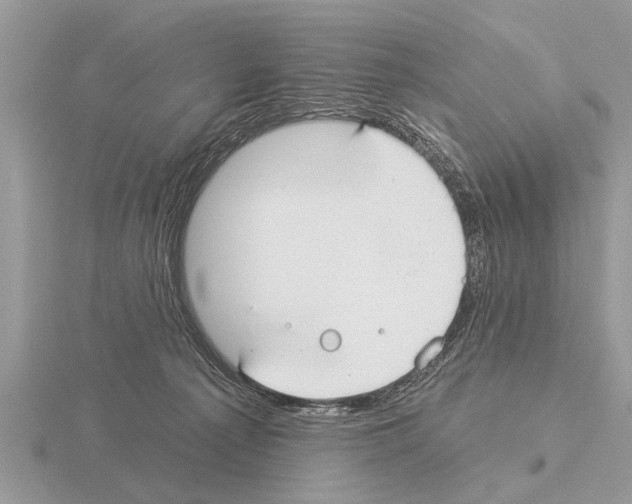 X0000115290225200912141102