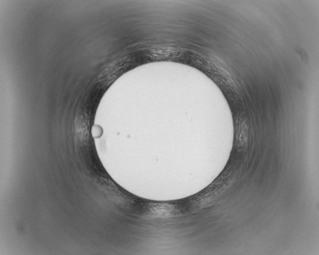 X0000115290226200912141102