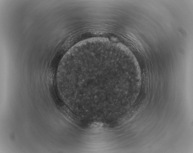 X0000115290227200912141102