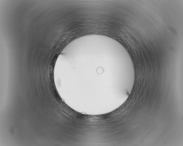 X0000115290229200912141102