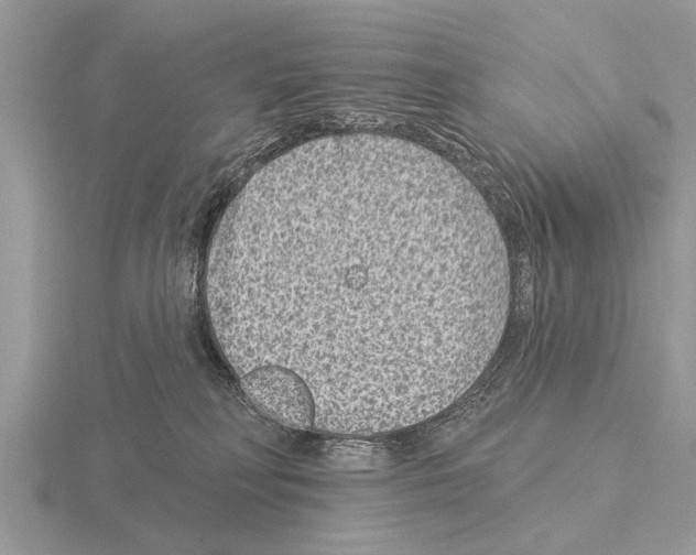 X0000115290230200912141102