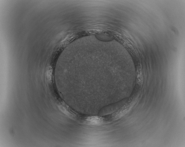 X0000115290231200912141102