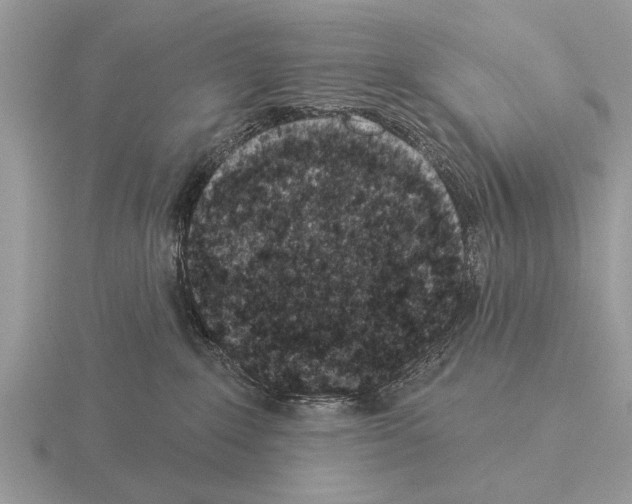 X0000115290235200912141102