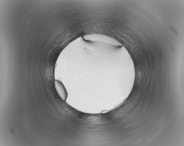 X0000115290236200912141102