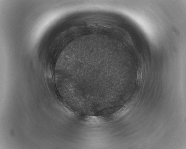 X0000115290239200912141102