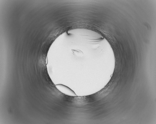 X0000115290240200912141102