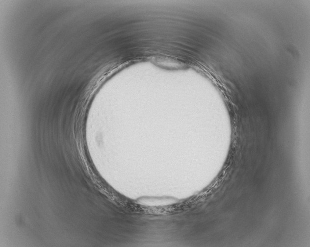 X0000115290241200912141101