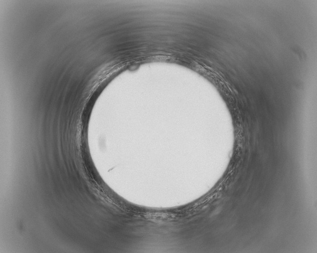 X0000115290242200912141101