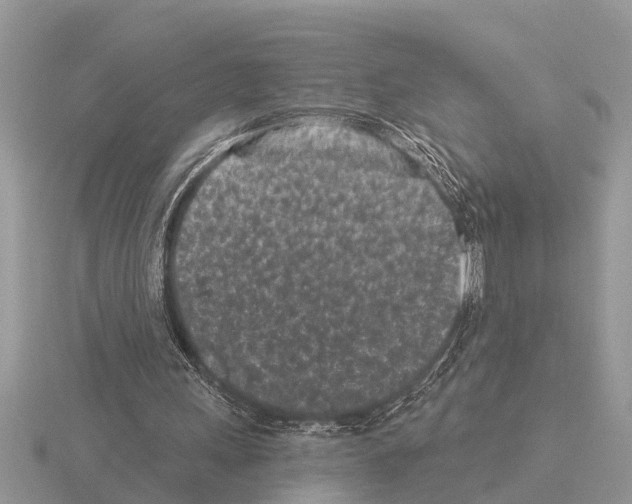 X0000115290243200912141101