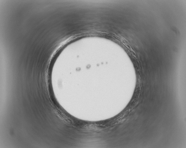 X0000115290244200912141101