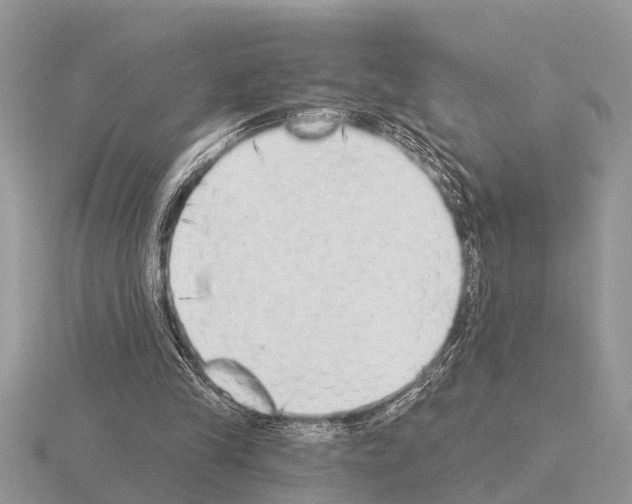 X0000115290245200912141101