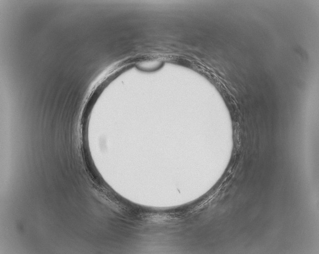 X0000115290246200912141101