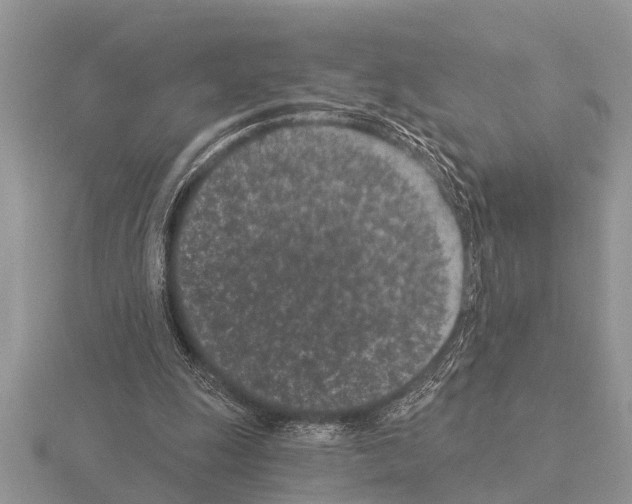 X0000115290247200912141101